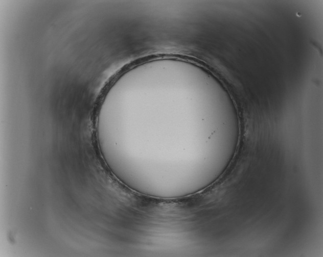 X0000103491264200809261942