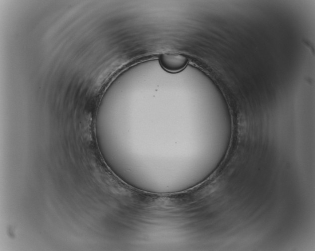 X0000103491265200809261942