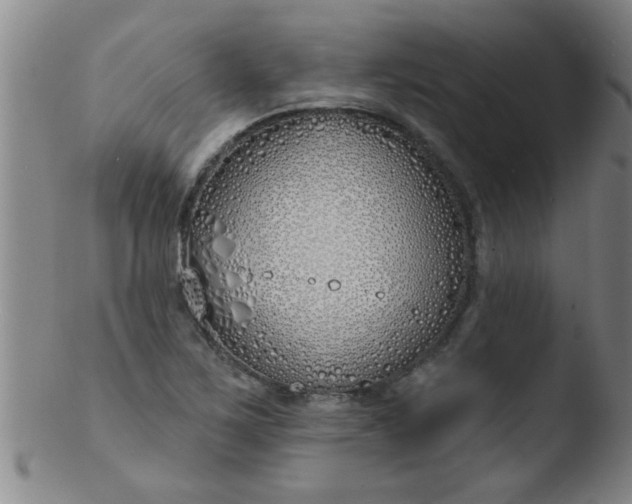 X0000103491267200809261942