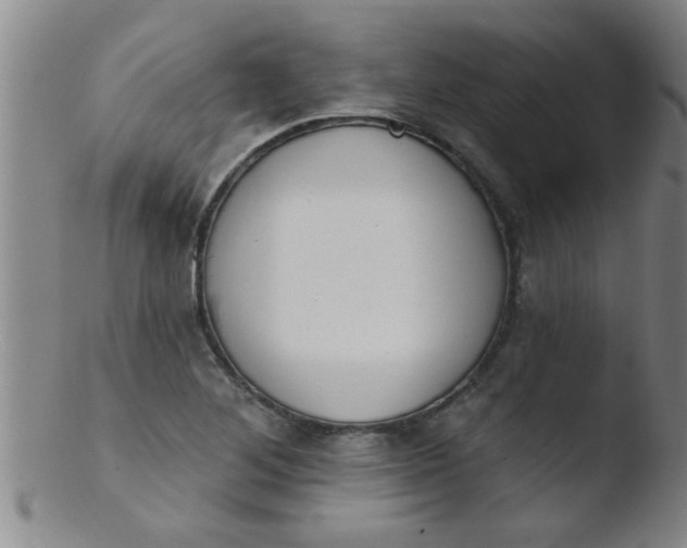 X0000103491268200809261942