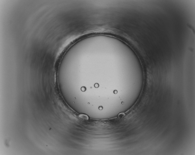 X0000103491270200809261942