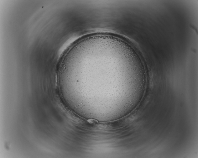 X0000103491271200809261942