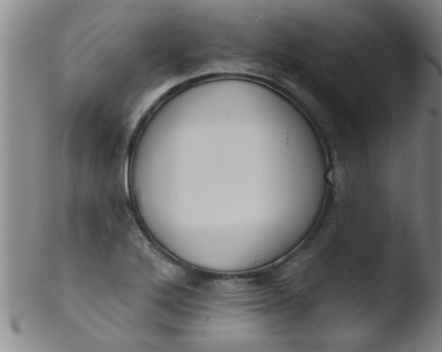 X0000103491272200809261942