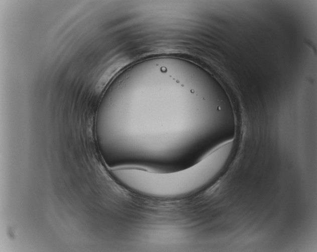 X0000103491273200809261942