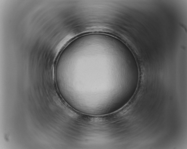 X0000103491275200809261942