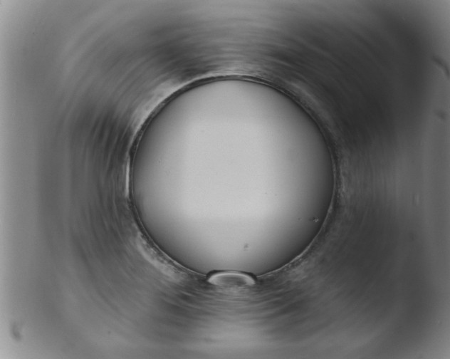 X0000103491276200809261942