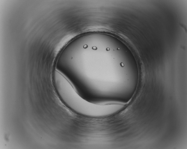 X0000103491277200809261942