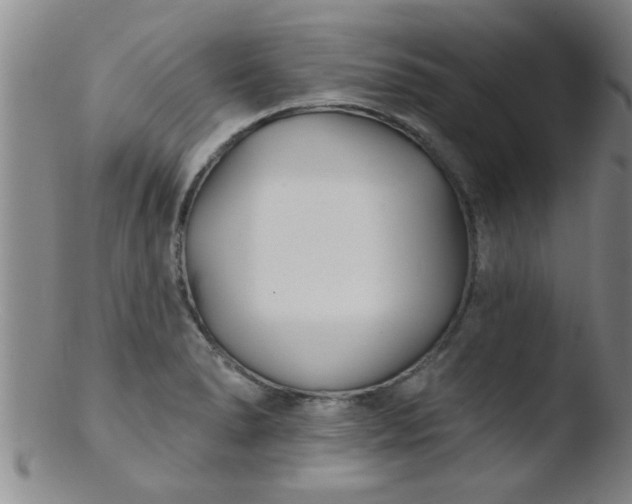 X0000103491278200809261942