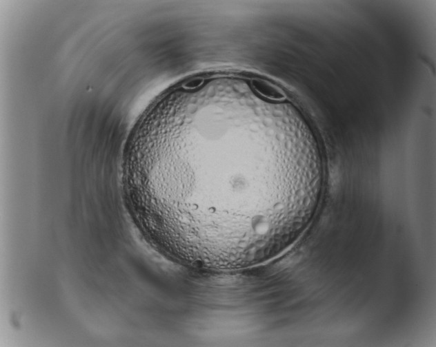 X0000103491279200809261942