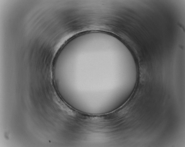 X0000103491280200809261942