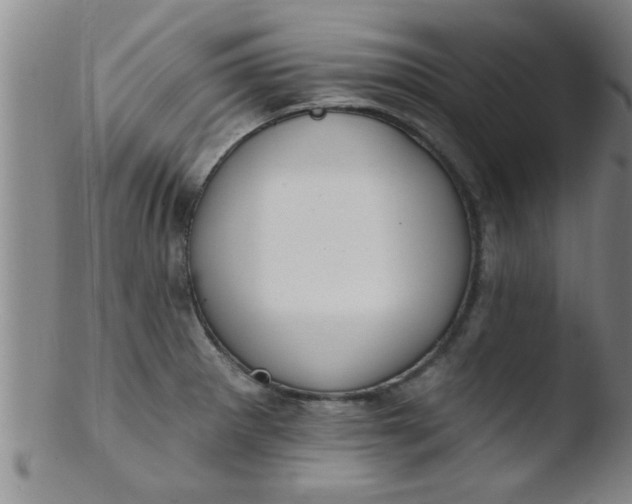 X0000103491281200809261942