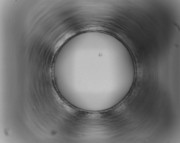 X0000103491282200809261942