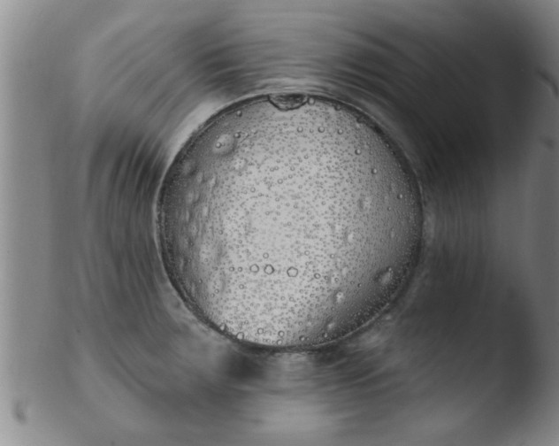 X0000103491283200809261942