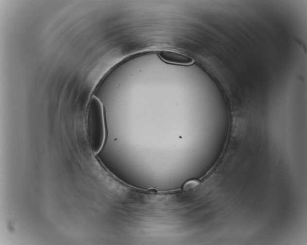 X0000103491284200809261942