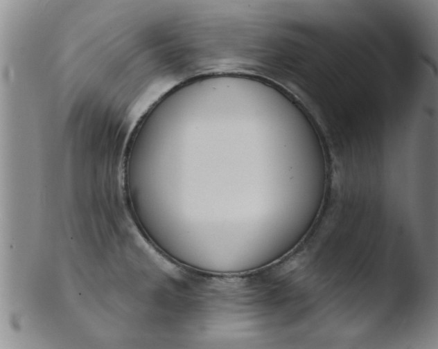 X0000103491285200809261942