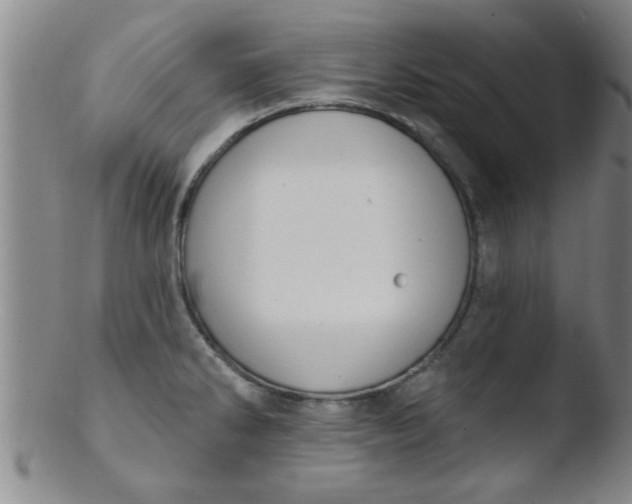 X0000103491286200809261942