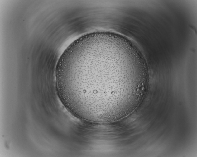 X0000103491287200809261942