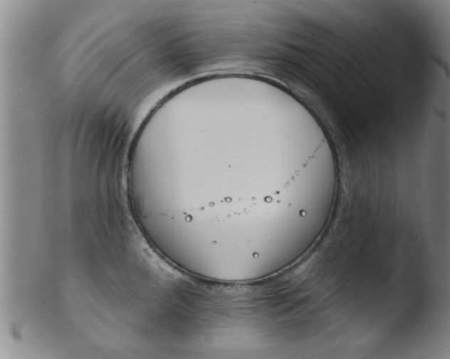 X0000103491288200809261942