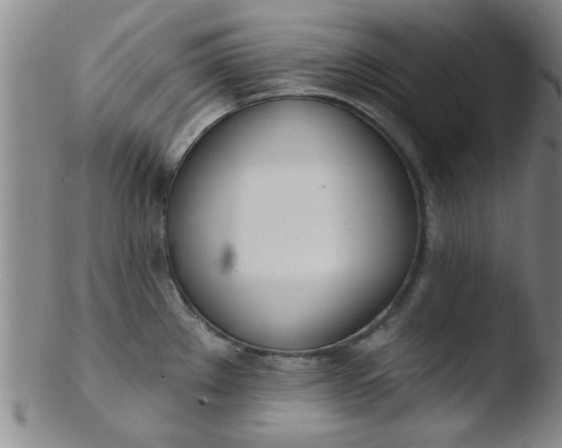 X0000103491289200809261942