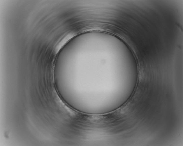 X0000103491290200809261942