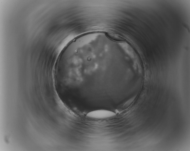 X0000103491291200809261942