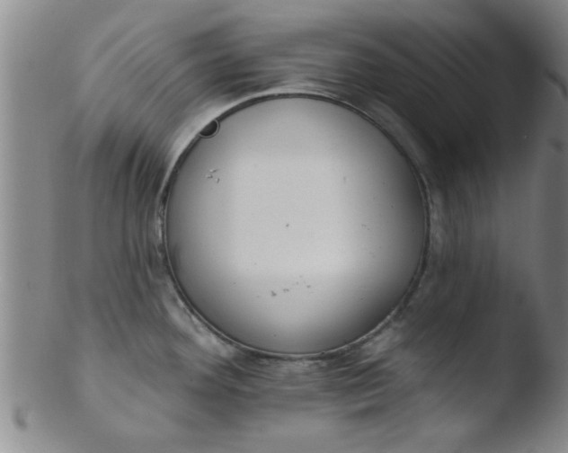 X0000103491292200809261942