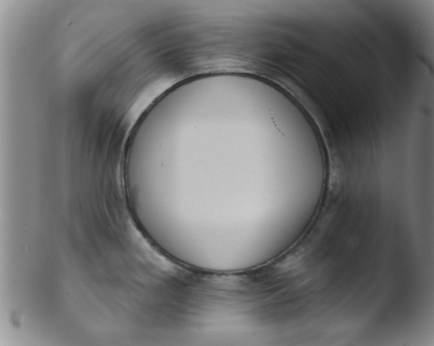 X0000103491293200809261942