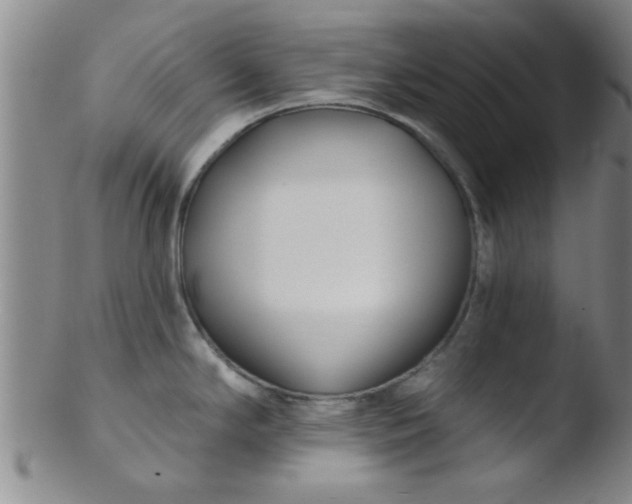 X0000103491294200809261942