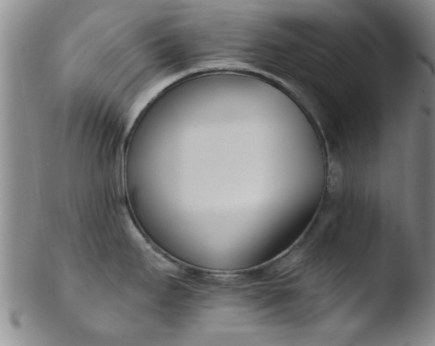 X0000103491295200809261942