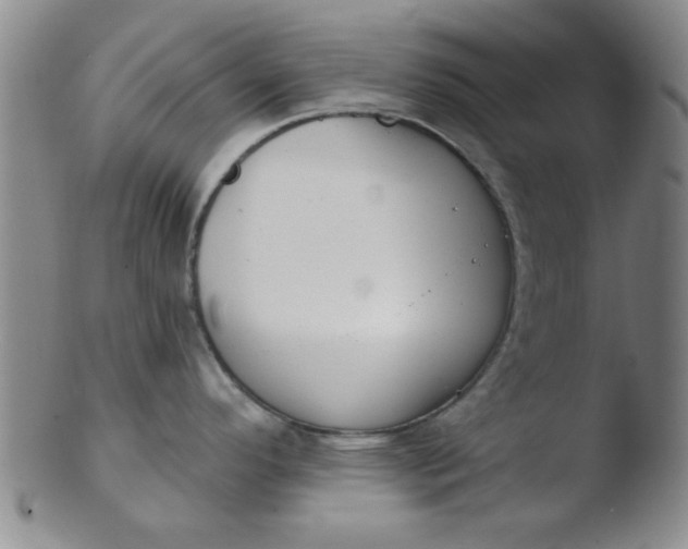 X0000103491296200809261942