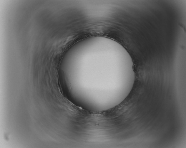 X0000103491297200809261941