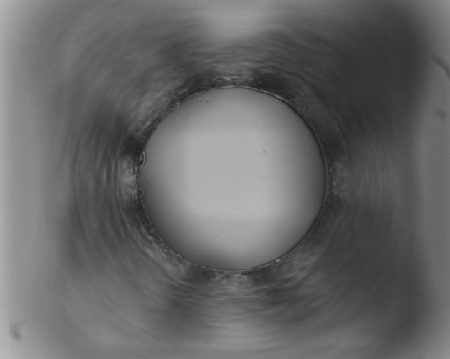 X0000103491298200809261941