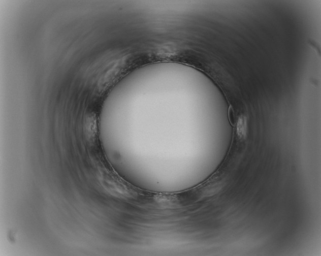 X0000103491299200809261941