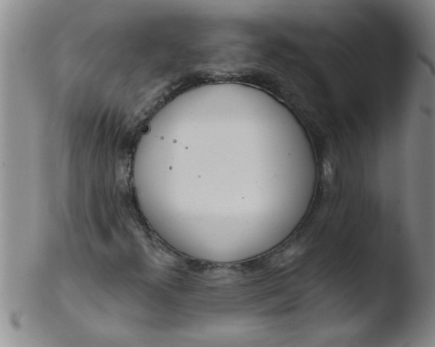 X0000103491300200809261941