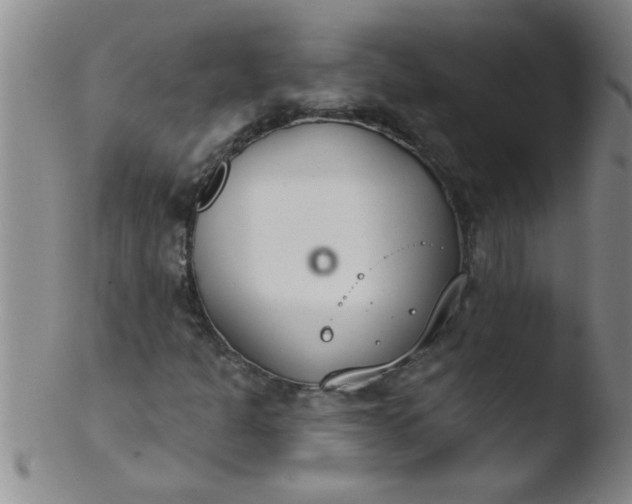 X0000103491301200809261941