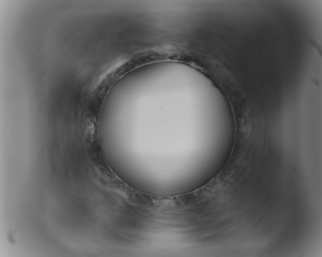 X0000103491302200809261941