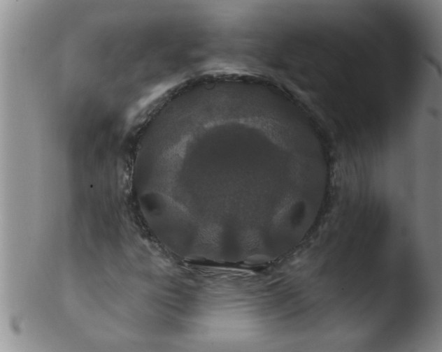 X0000103491303200809261941