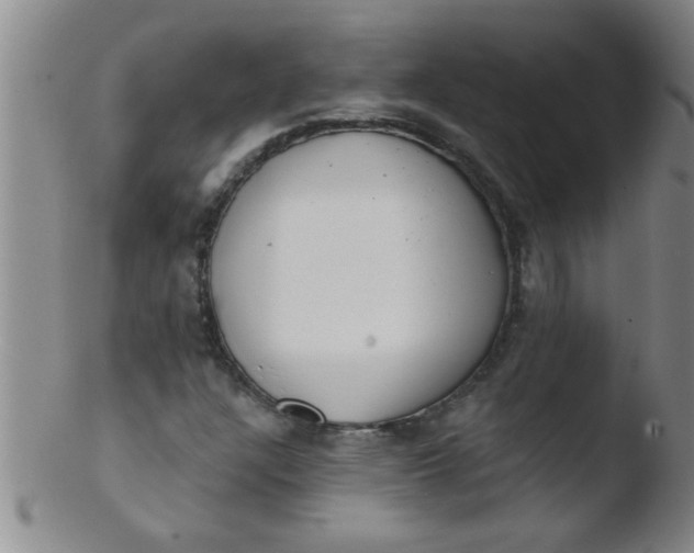 X0000103491304200809261941