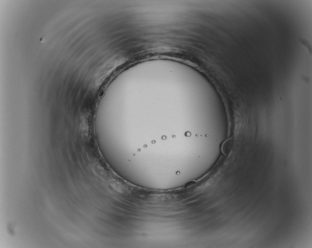 X0000103491305200809261941