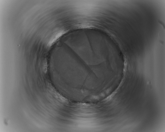 X0000103491306200809261941