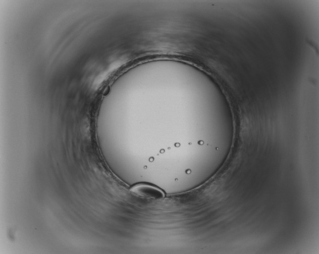 X0000103491307200809261941