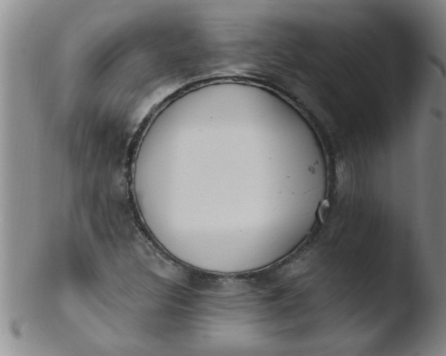 X0000103491308200809261941