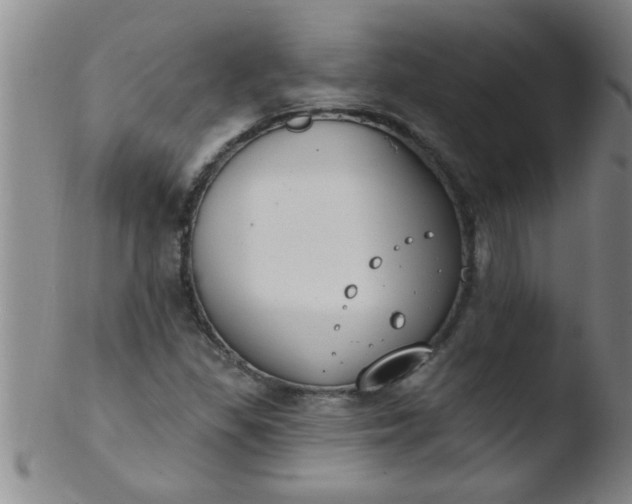 X0000103491309200809261941