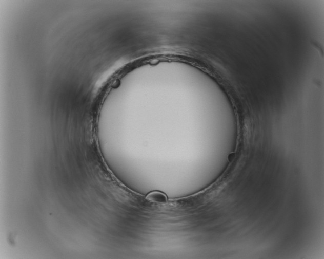 X0000103491310200809261941