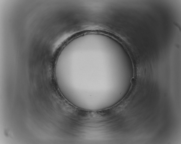 X0000103491311200809261941