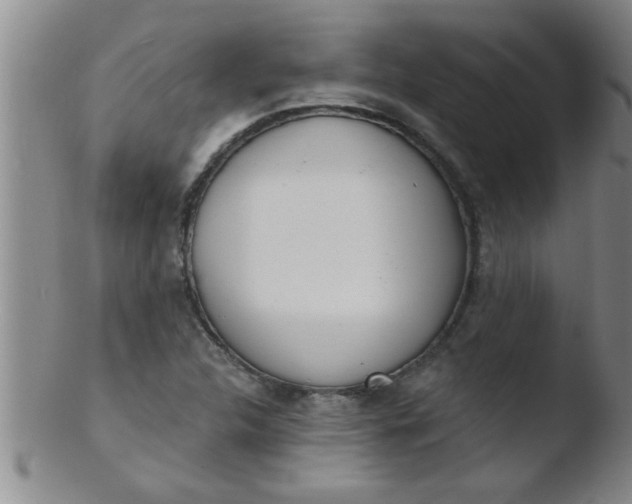 X0000103491312200809261941