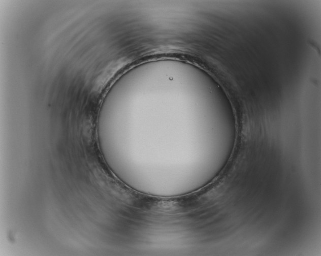 X0000103491313200809261941