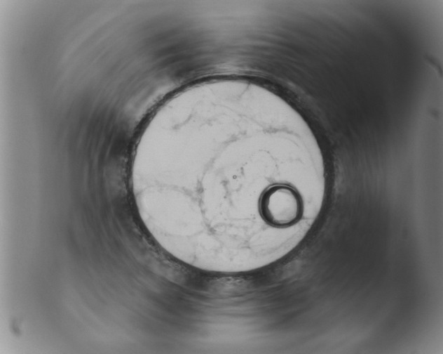 X0000103491314200809261941