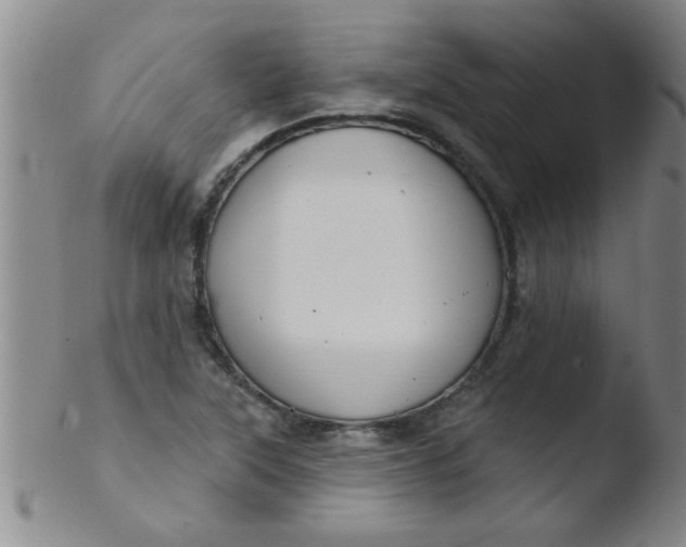 X0000103491315200809261941