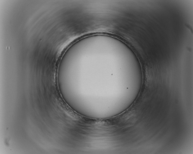 X0000103491316200809261941